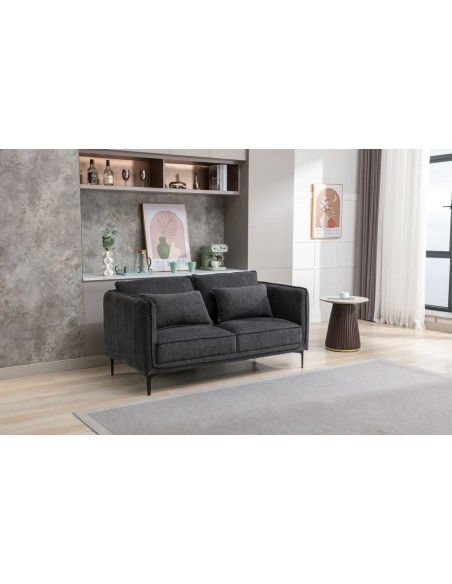 Rae 2 Seater Fixed Sofa - Dark Grey