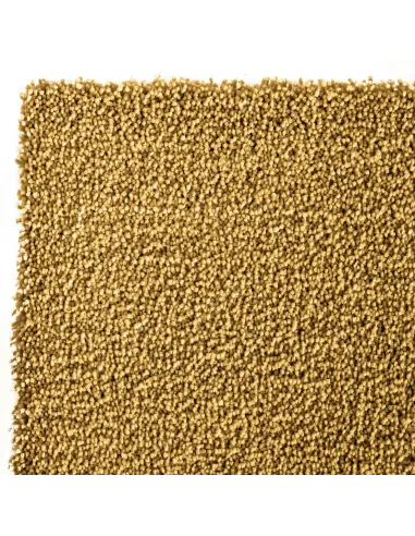 Kiss 800 Rug - X-Small