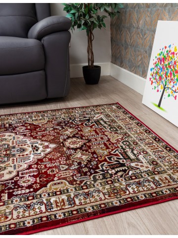 Aziza Medallion Red Rug -...