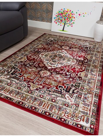 Aziza Medallion Red Rug -...