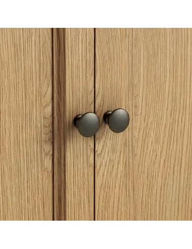 Gia 2 Door Corner TV Unit - Oak