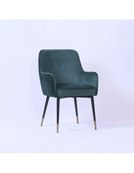 Ottowa Dining Chair - Green