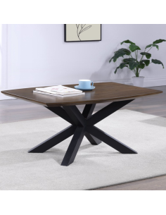 Nevada Rectangular Coffee Table with Parquet Top - Mindi Wood