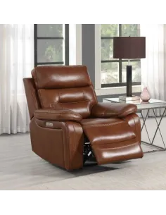 Peabody Electric Recliner Armchair - Bison