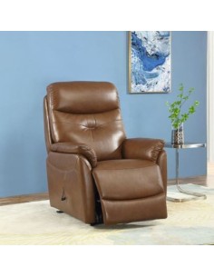 Sterling Lift & Rise Armchair - Tan