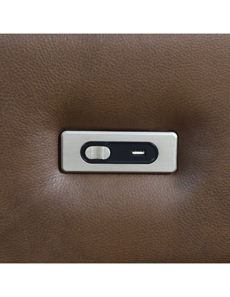 Frankie 2 Seater Power Recliner - Chestnut