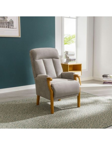 Edilmar Static Armchair - Silvery Grey