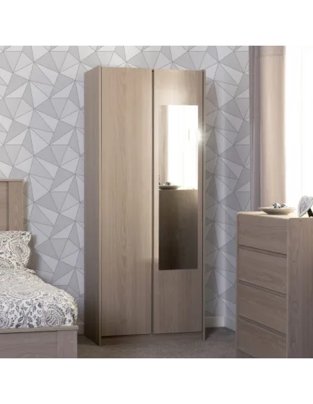 Paris 2 Door Mirrored Wardrobe - Smoked Ash Effect