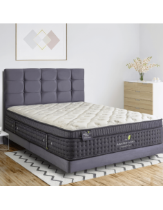 Natures Touch Pillow Top/Spinal Zone Natural Sleep Mattress