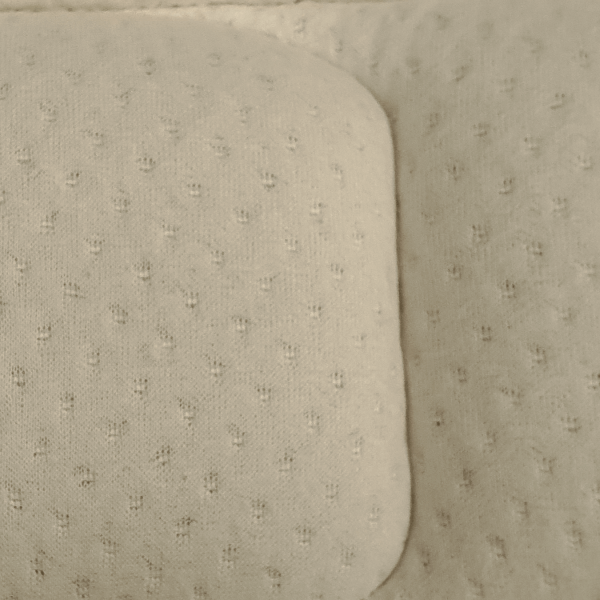 Natures Touch Pillow Top/Spinal Zone Natural...