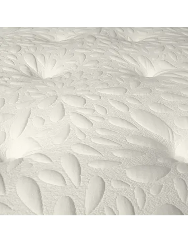 Bantry Posture Care Dream World Mattress