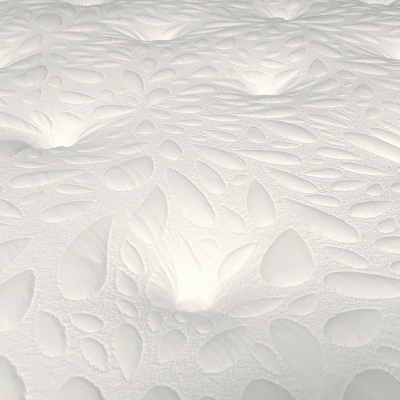 Bantry Posture Care Dream World Mattress