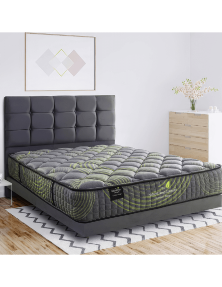DW 6ft Designer Paris Divan Bed Set (Divan/Headboard & Mattress) - Various Colours