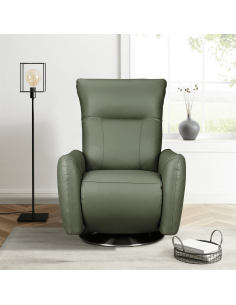 Monti Electric Armchair - Green Leather 2