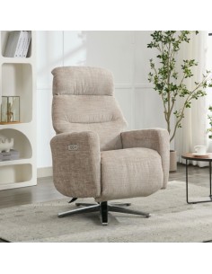 Monique TV Armchair - Fossil
