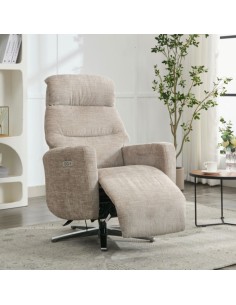 Monique TV Armchair - Fossil 2