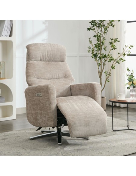 Monique TV Armchair - Fossil