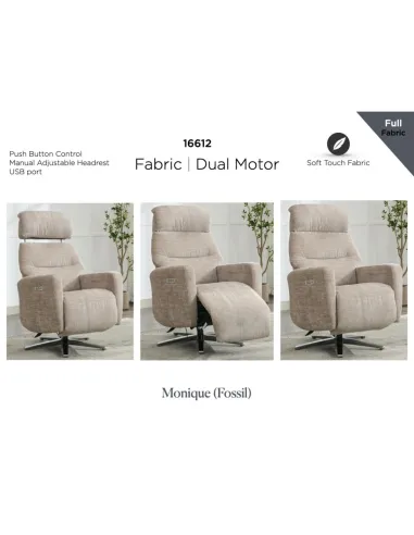 Monique TV Armchair - Fossil