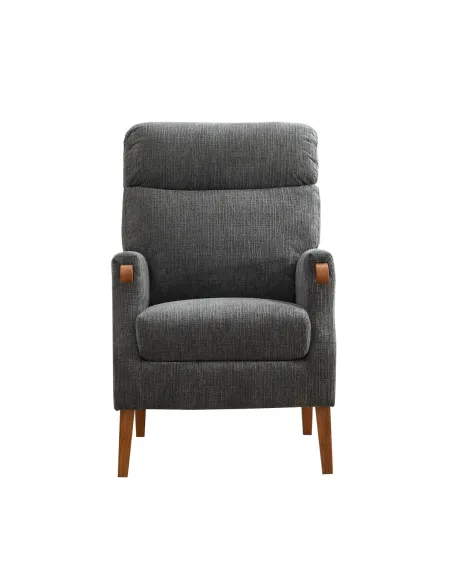 Faro Fireside Armchair - Anthracite