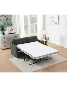 Emoric Full Foam Sofa Bed - Winter Moss 2