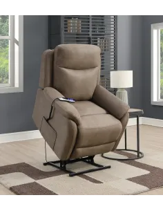Reeves Lift & Rise Armchair - Sultry 2